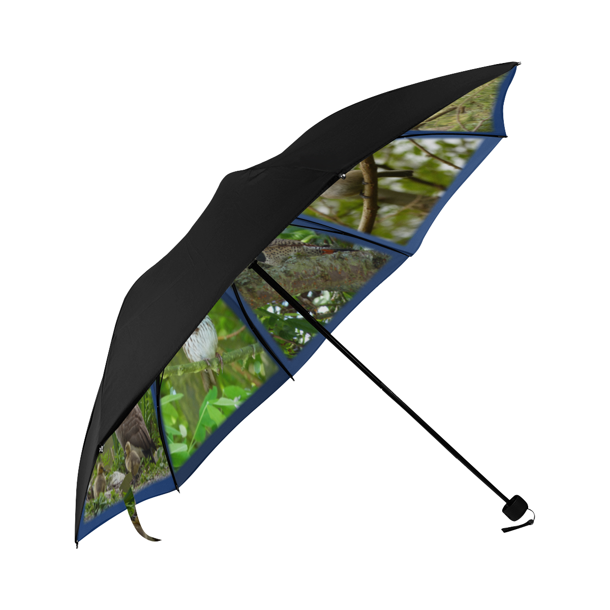 Vancouver Bird Umbrellas Anti-UV Foldable Umbrella (Underside Printing) (U07)