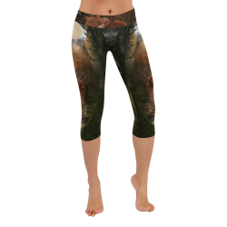 Awesome wolf in the night Women's Low Rise Capri Leggings (Invisible Stitch) (Model L08)