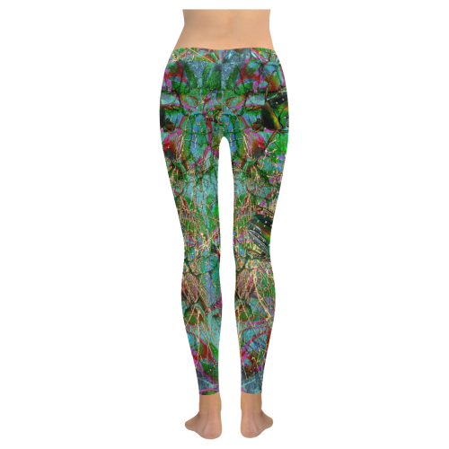 Wandering beetles Women's Low Rise Leggings (Invisible Stitch) (Model L05)