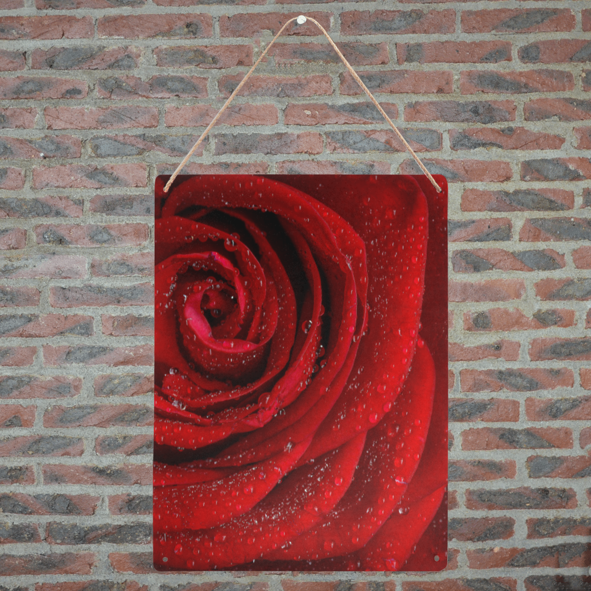 Red rosa Metal Sign 12"x16"