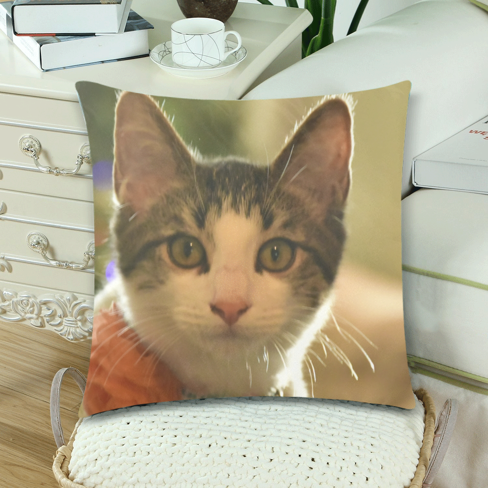 The young cat named Dante - Isabela PR - ID:DSC0053 Custom Zippered Pillow Cases 18"x 18" (Twin Sides) (Set of 2)