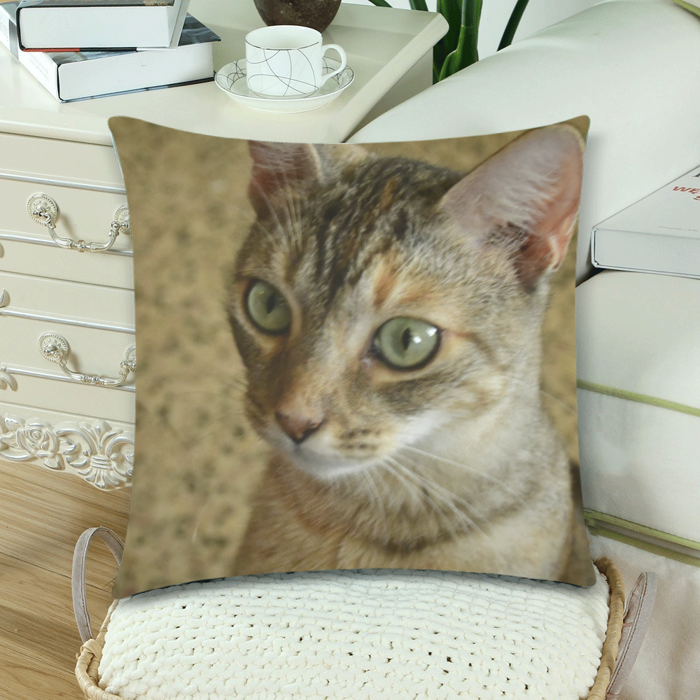 The cat Mimi - Dantes Mother - in Isabela PR - ID:DSC0291 - Copy Custom Zippered Pillow Cases 18"x 18" (Twin Sides) (Set of 2)
