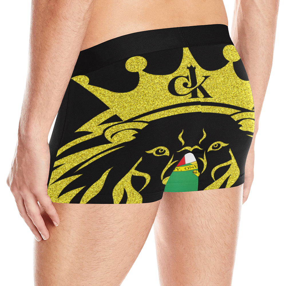 Ja Boxer Briefs Men's All Over Print Boxer Briefs (Model L10)