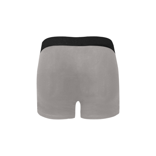 Ash Men's Classic Boxer Briefs (Model L34)