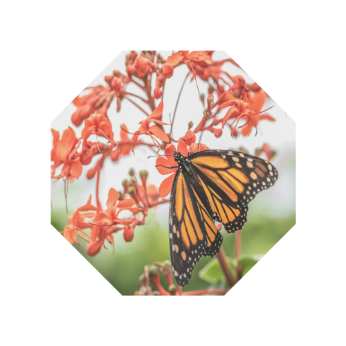 Monarch Butterfly Dreams Anti-UV Auto-Foldable Umbrella (U09)
