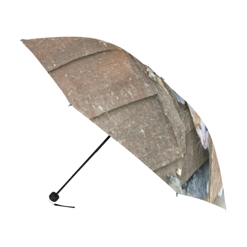 Barnyard Kittens Anti-UV Foldable Umbrella (U08)