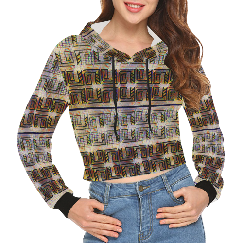 Canals2 All Over Print Crop Hoodie for Women (Model H22)
