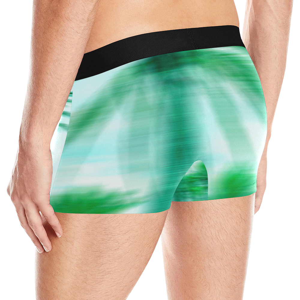 Palm Beach Men's All Over Print Boxer Briefs (Model L10)