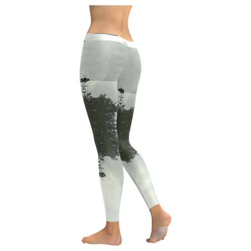 cloud island with a horizon so clear Women's Low Rise Leggings (Invisible Stitch) (Model L05)