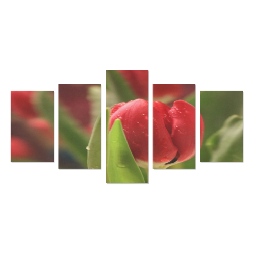 Love Red Tulip 1 Canvas Print Sets C (No Frame)