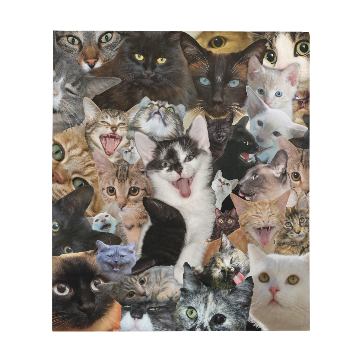 Crazy Kitten Show Quilt 60"x70"
