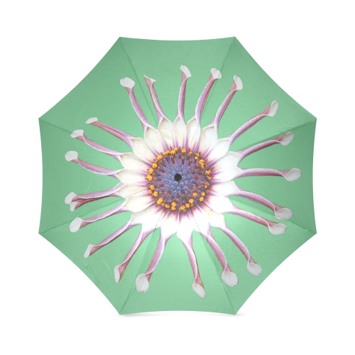 daisy_10 Foldable Umbrella (Model U01)
