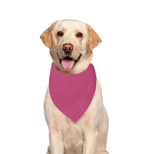 Color Solid Pink Peacock Pet Dog Bandana/Large Size