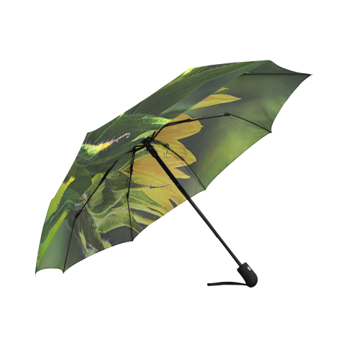Sunflower New Beginnings Auto-Foldable Umbrella (Model U04)