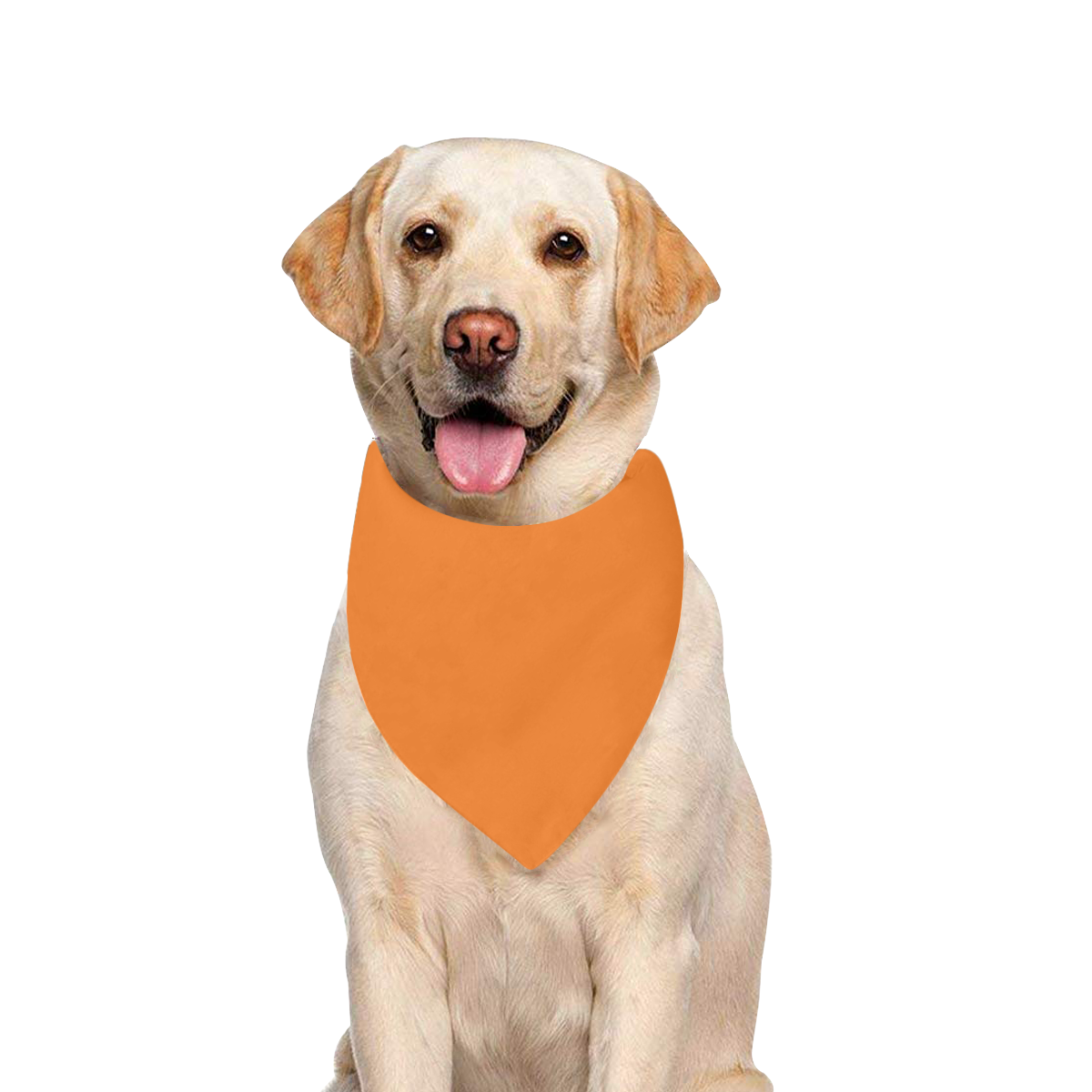 Color Solid Turmeric Pet Dog Bandana/Large Size