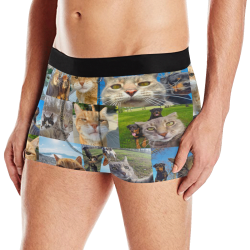 Underwear man cat Men's Boxer Briefs with Merged Design (Model  L10)