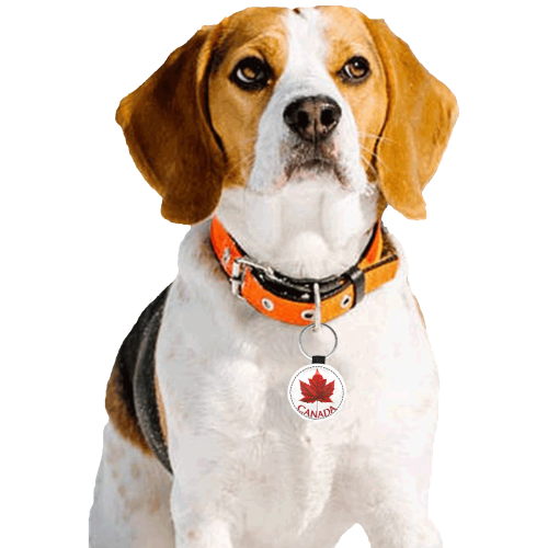 Canada Souvenir Round Pet ID Tag