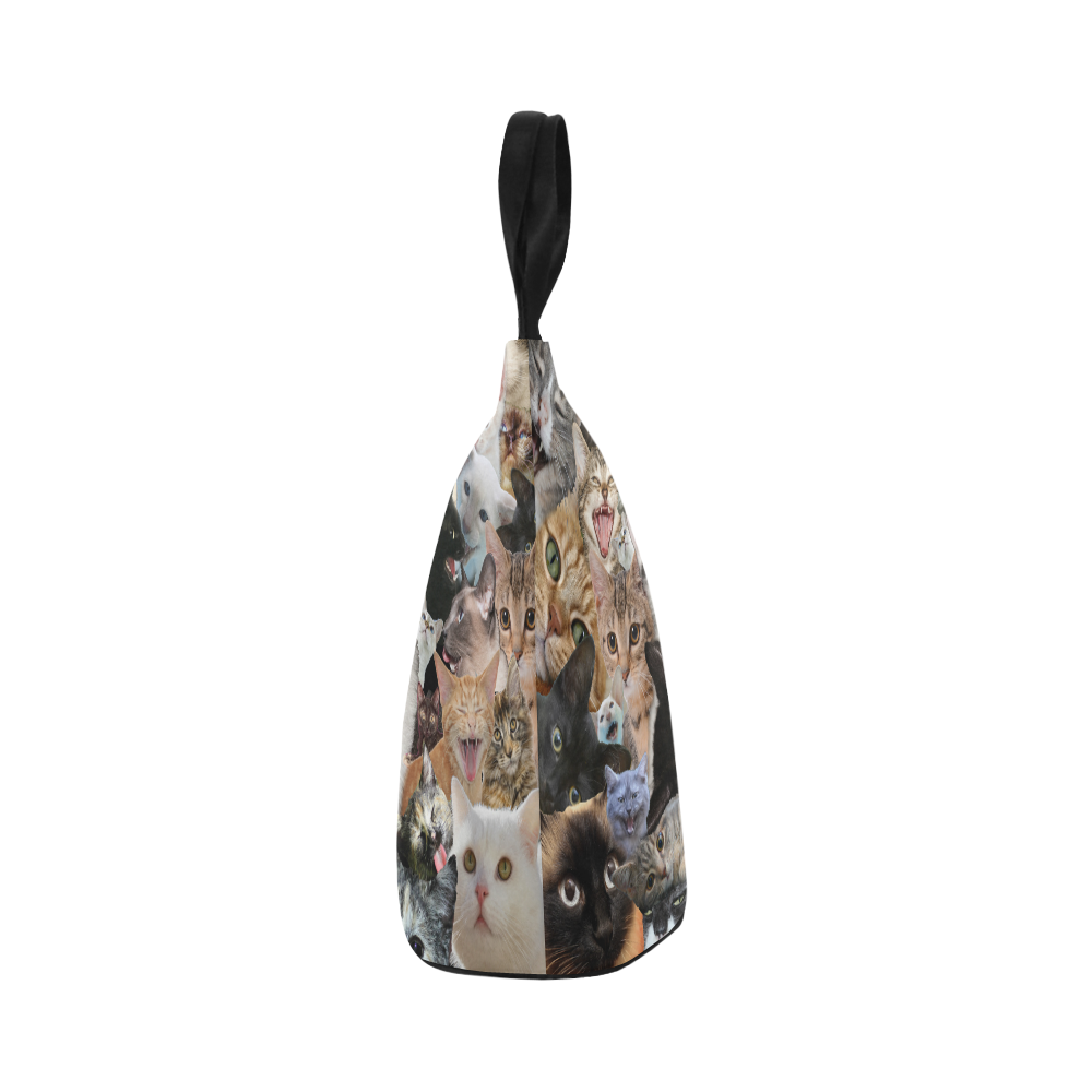 Crazy Kitten Show Nylon Lunch Tote Bag (Model 1670)