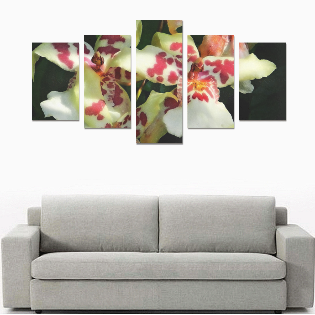 spotted orchids Canvas Print Sets C (No Frame)