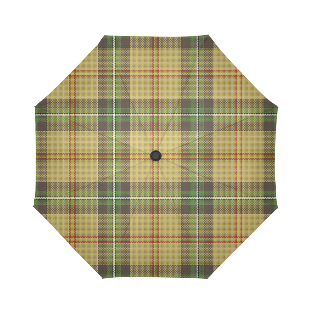 Saskatchewan tartan Auto-Foldable Umbrella (Model U04)