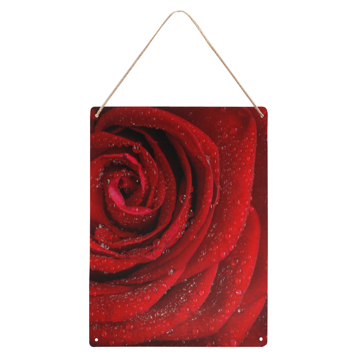 Red rosa Metal Sign 12"x16"