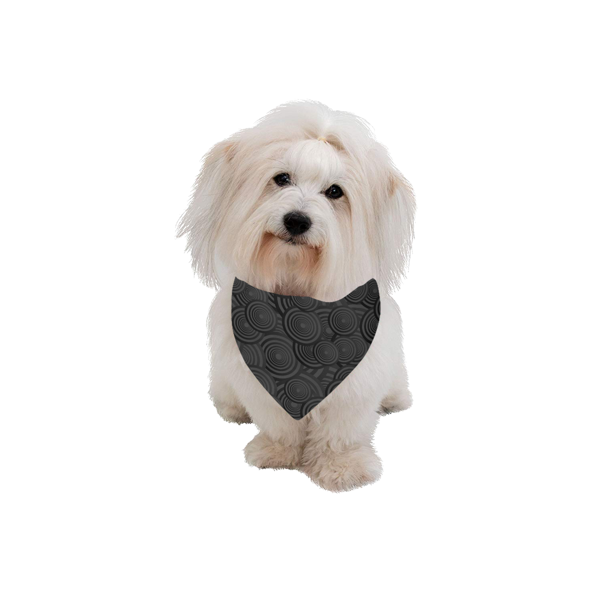 Hypnotic Black And White Pet Dog Bandana/Large Size