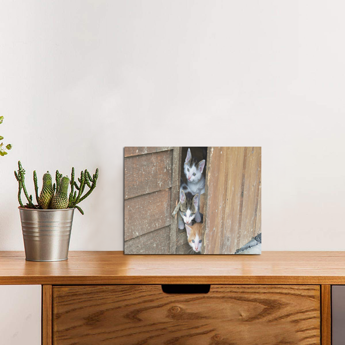 Barnyard Kittens Photo Panel for Tabletop Display 8"x6"