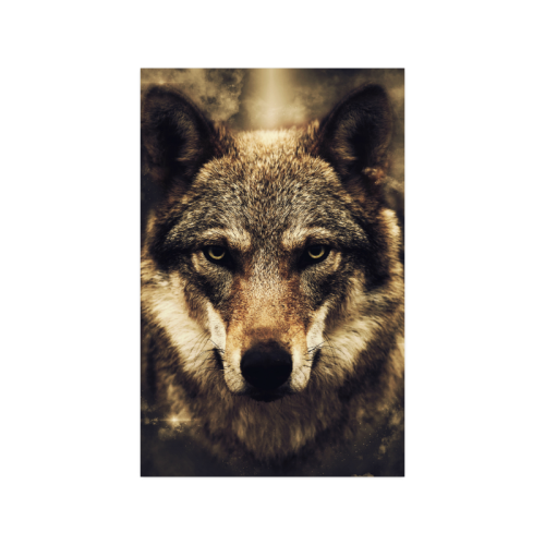 Wolf 2 Animal Nature Poster 11"x17"