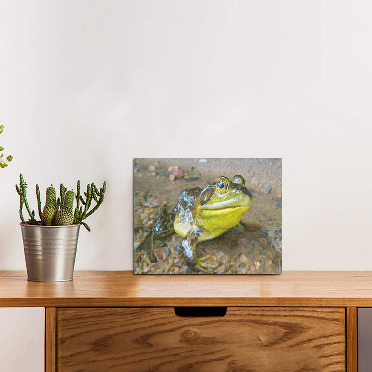 Green Frog Adventure Photo Panel for Tabletop Display 8"x6"