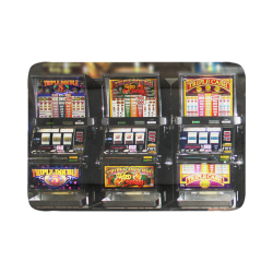 Lucky Slot Machines - Dream Machines Pet Bed 54"x37"