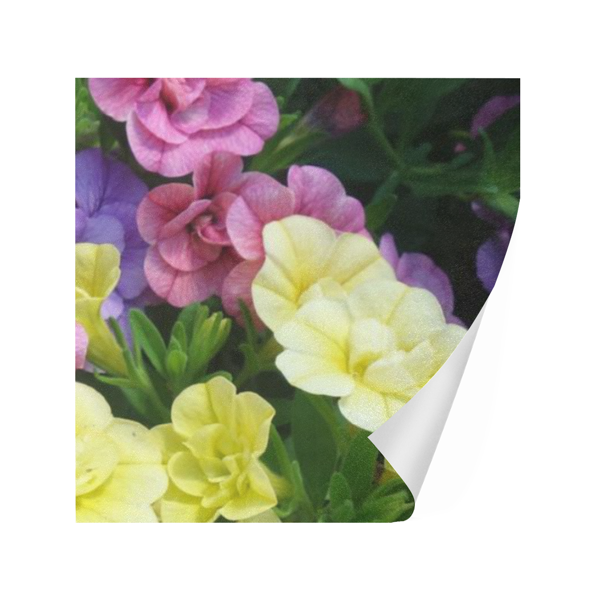 lovely flowers 17 by JamColors Gift Wrapping Paper 58"x 23" (2 Rolls)