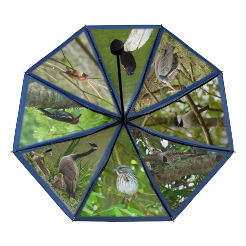 Vancouver Bird Umbrellas Anti-UV Foldable Umbrella (Underside Printing) (U07)