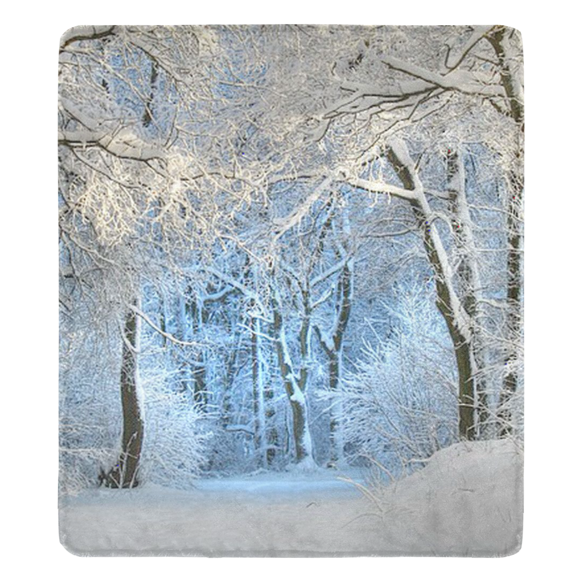 another winter wonderland  Q Ultra-Soft Micro Fleece Blanket 70''x80''