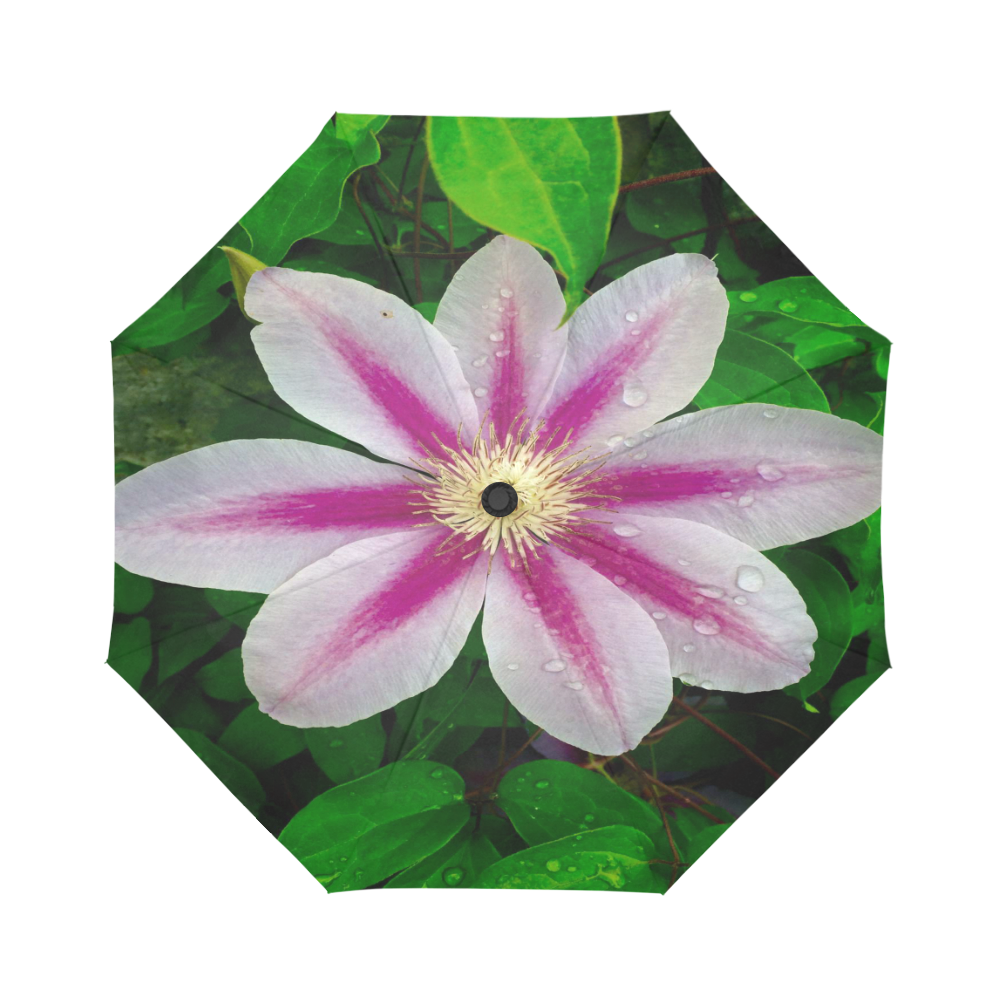 Beautiful Floral Wet Look Umbrella Auto-Foldable Umbrella (Model U04)