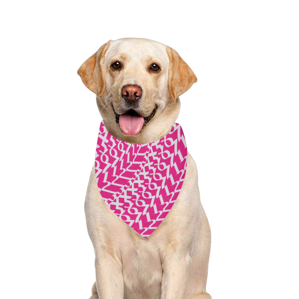 NUMBERS Collection 1234567 Pink/White Pet Dog Bandana/Large Size