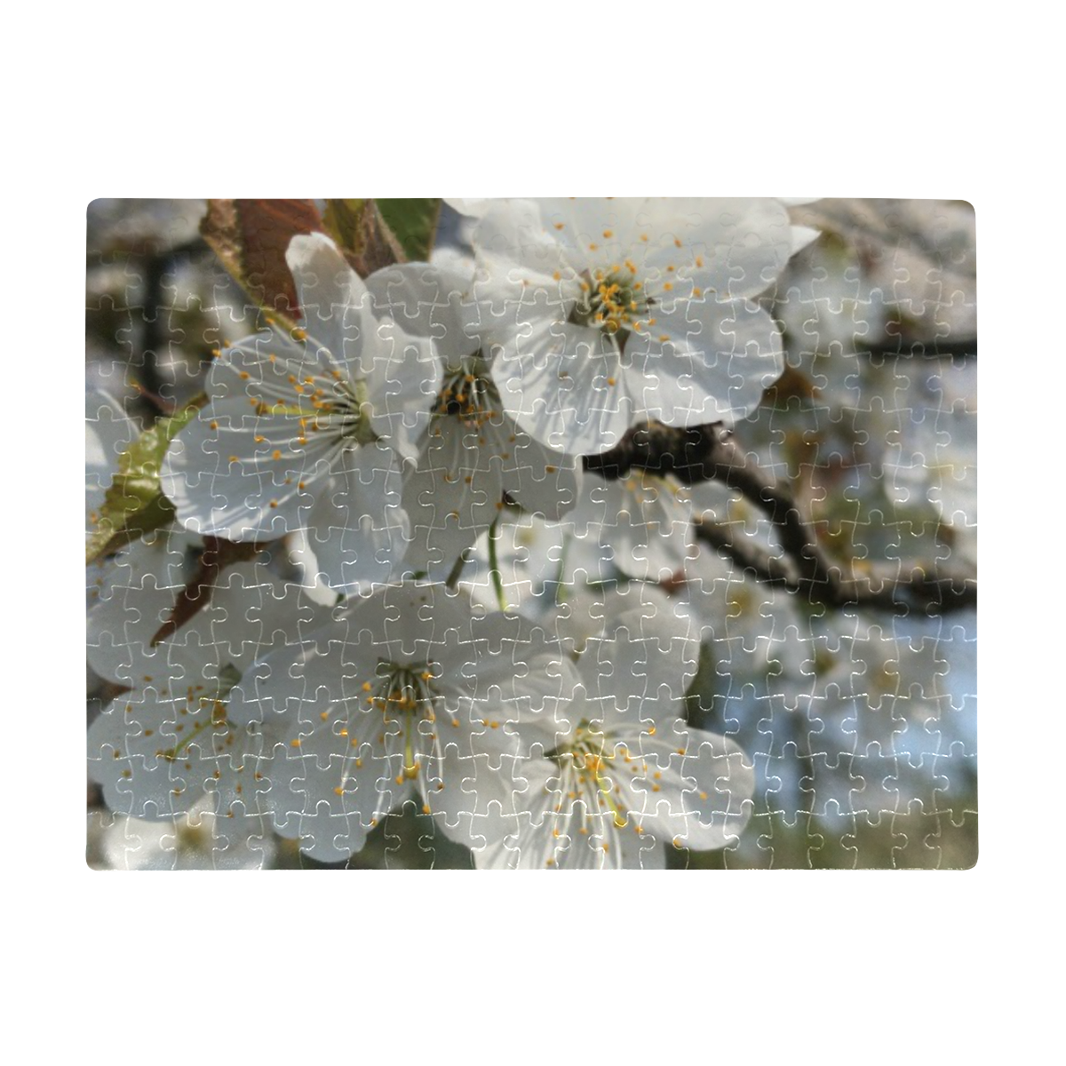 white flower A3 Size Jigsaw Puzzle (Set of 252 Pieces)