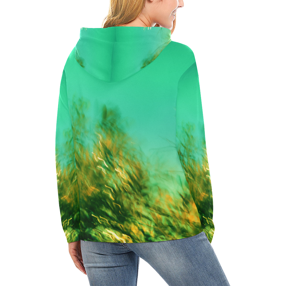 DSC_2413 All Over Print Hoodie for Women (USA Size) (Model H13)