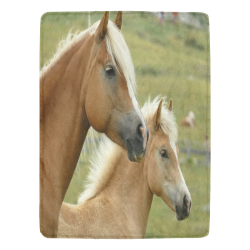 Mother Horse And Pony Ultra-Soft Micro Fleece Blanket 60"x80"