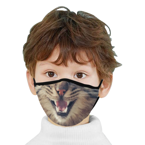 catface3 Mouth Mask