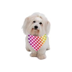 Rainbow Polka Dots Pet Dog Bandana/Large Size