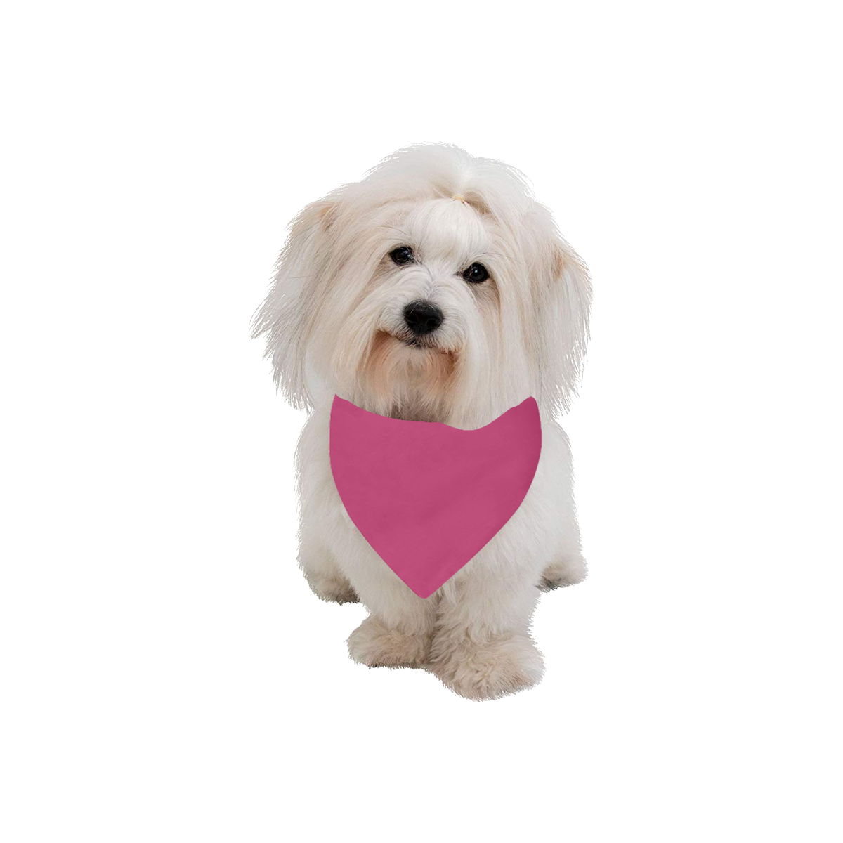 Color Solid Pink Peacock Pet Dog Bandana/Large Size
