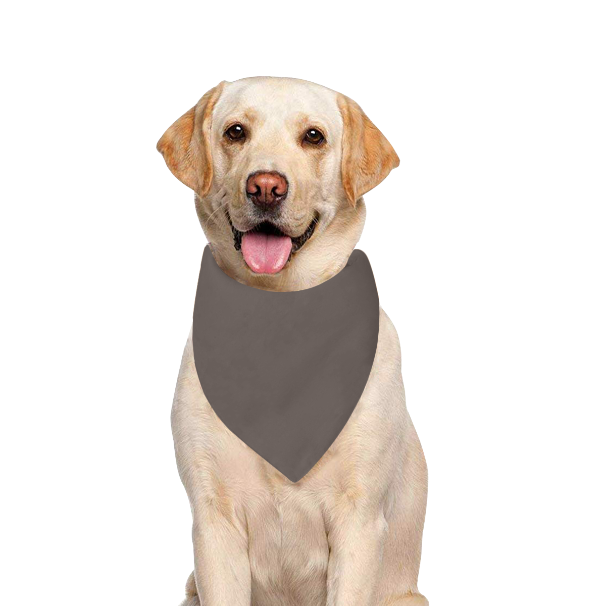 Color Solid Brown Granite Pet Dog Bandana/Large Size