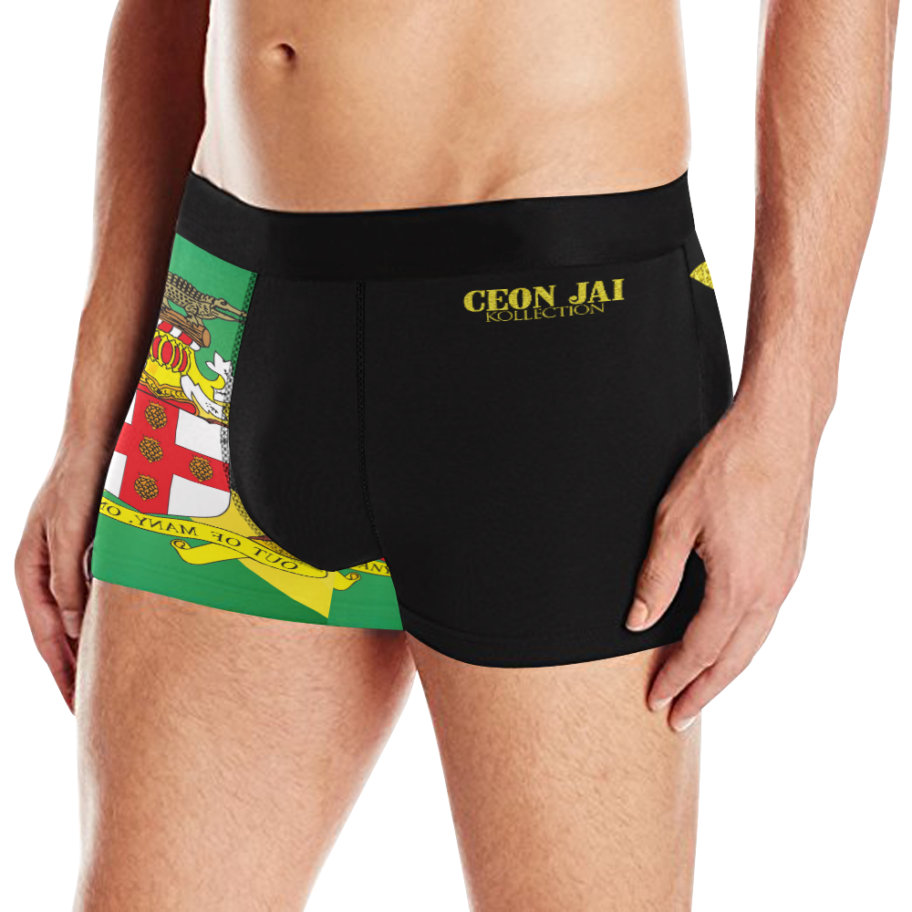 Ja Boxer Briefs Men's All Over Print Boxer Briefs (Model L10)