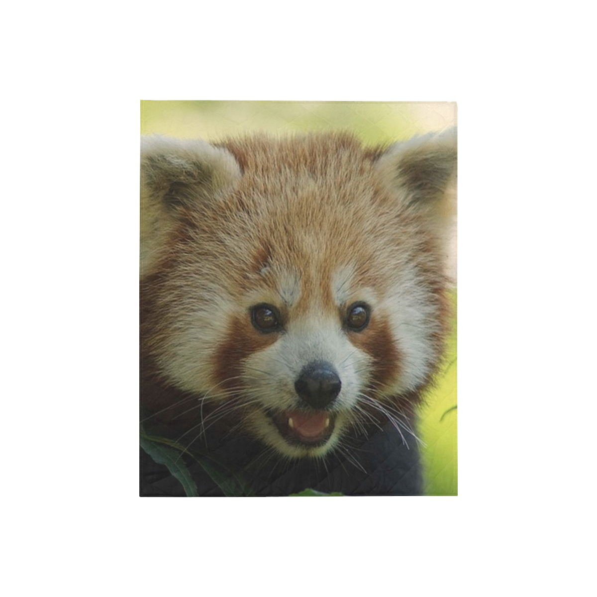 red panda Quilt 40"x50"