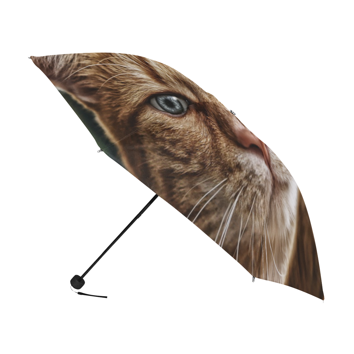 Orange Tabby And Fence Anti-UV Foldable Umbrella (U08)