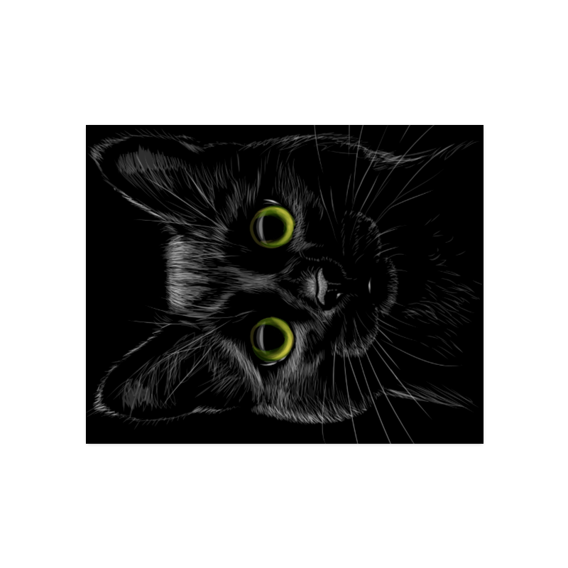 Black Cat Poster 16"x20"