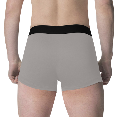 Ash Men's Classic Boxer Briefs (Model L34)