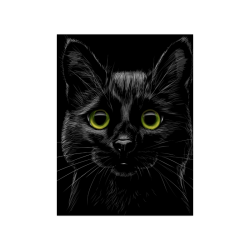 Black Cat Poster 18"x24"