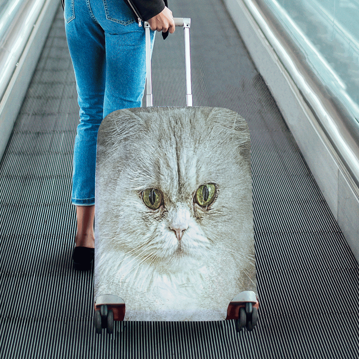 Persian White Cat Luggage Cover/Medium 22"-25"