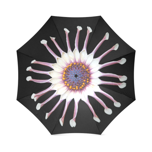 African Daisy on black Foldable Umbrella (Model U01)